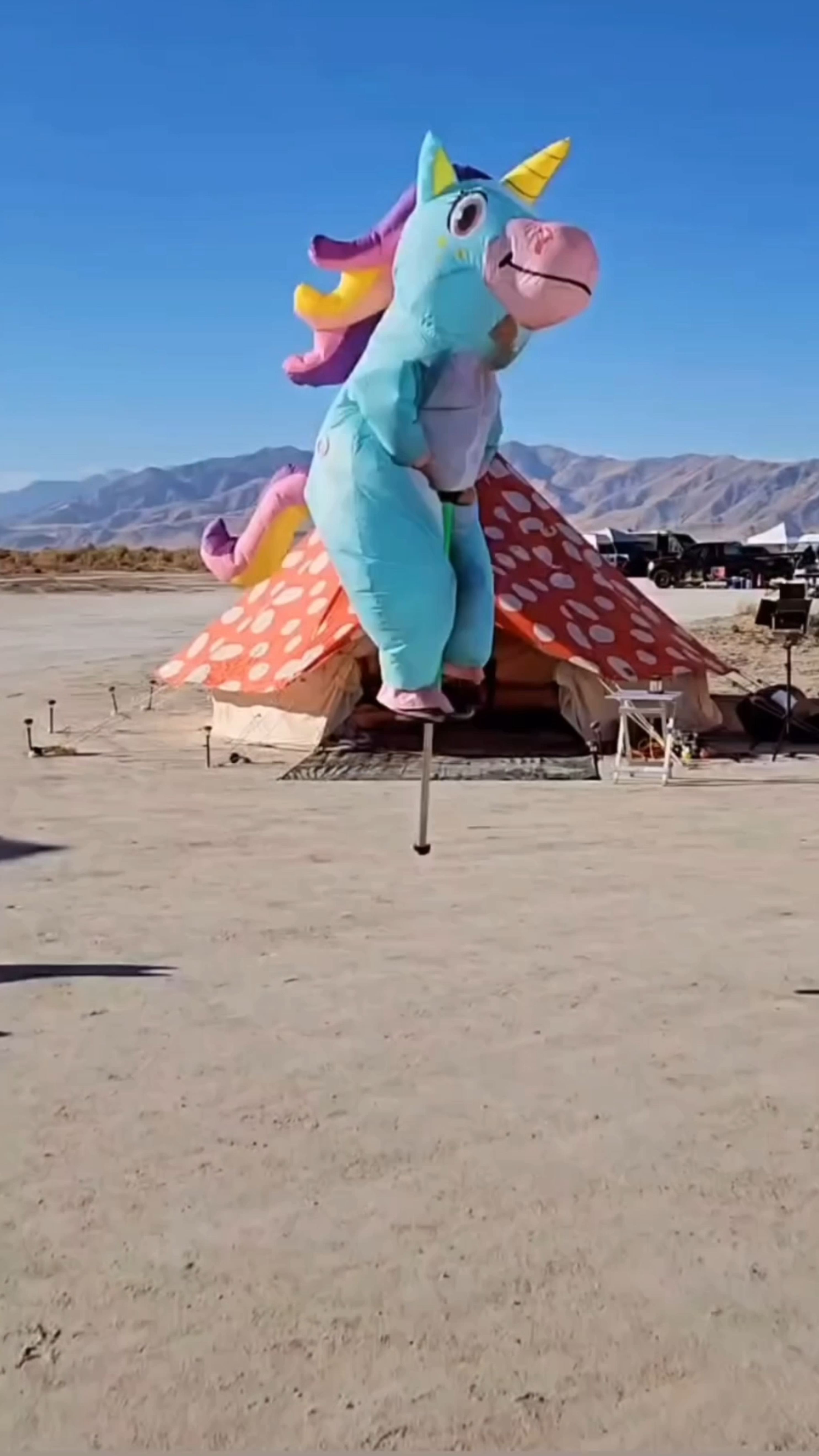 Fan photo: My Pogo Stick